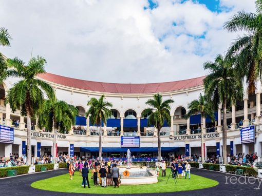 Pegasus World Cup 2024 Presented by Baccarat
